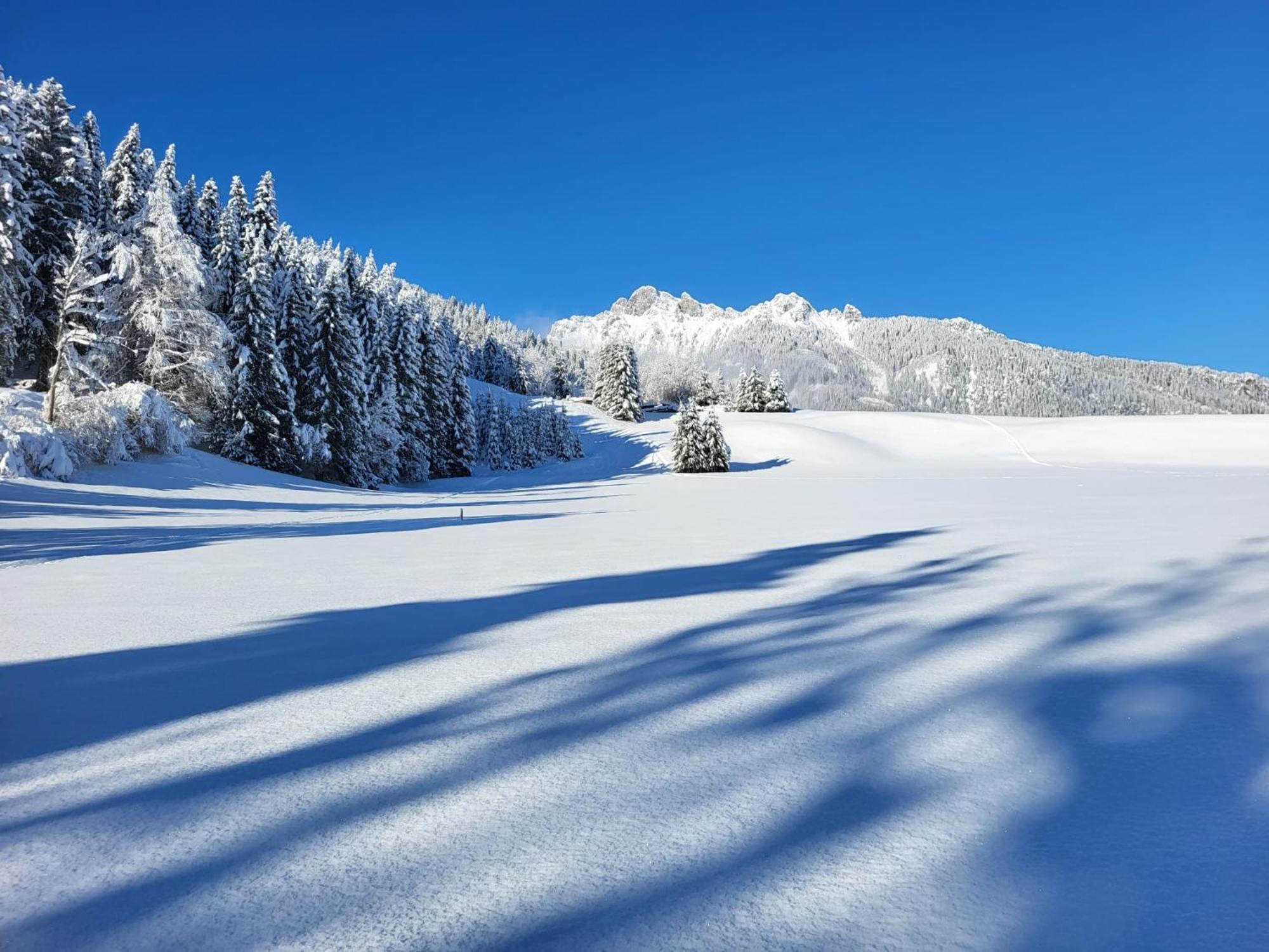 Alpapart Hornberg Hofen Bagian luar foto