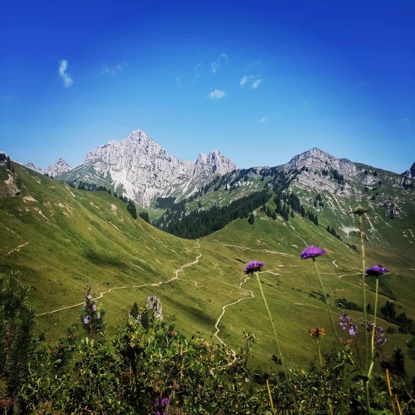 Alpapart Hornberg Hofen Bagian luar foto