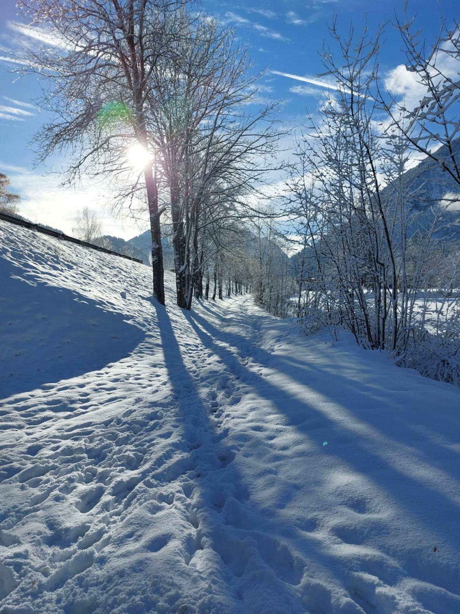 Alpapart Hornberg Hofen Bagian luar foto