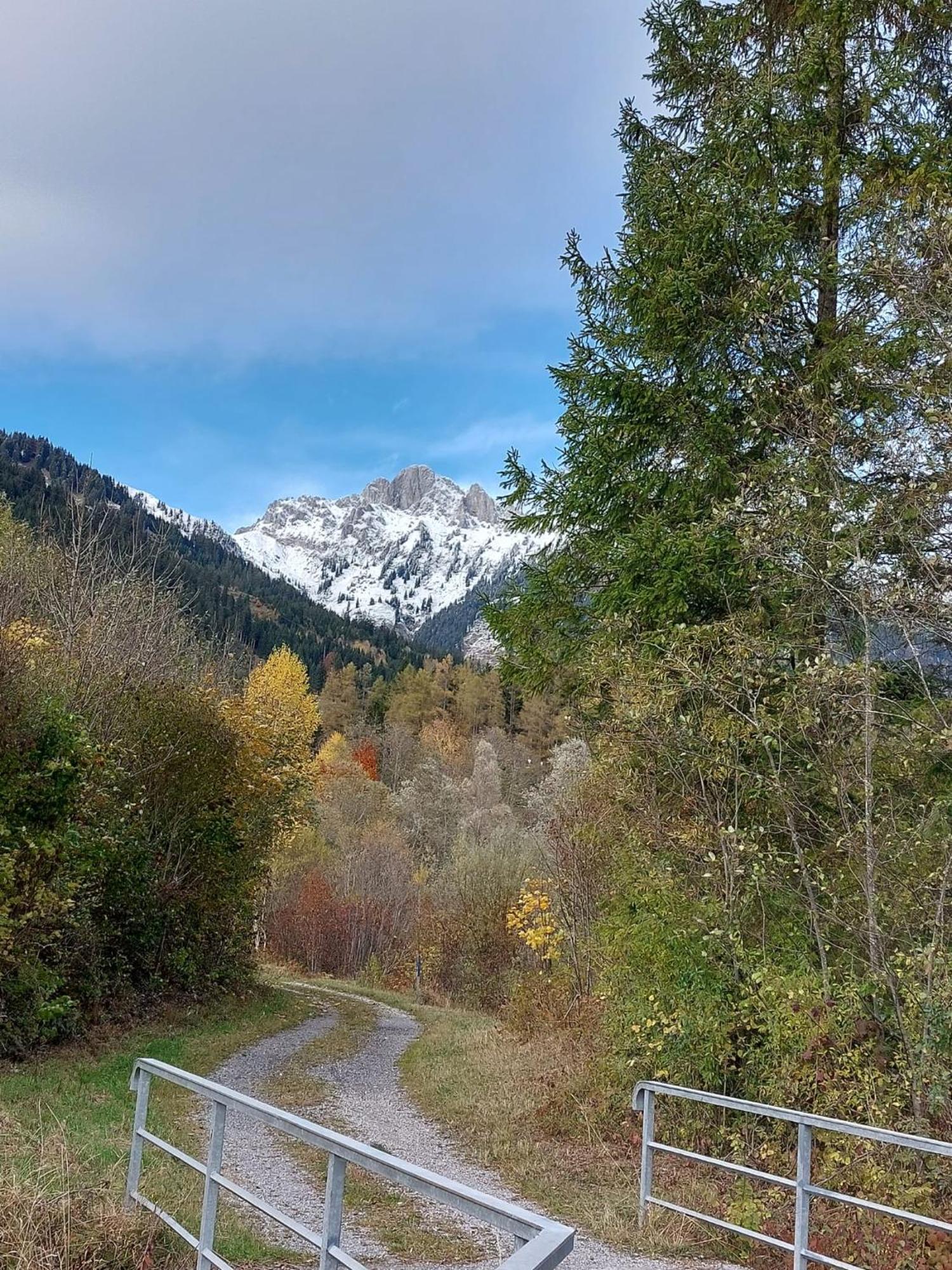Alpapart Hornberg Hofen Bagian luar foto