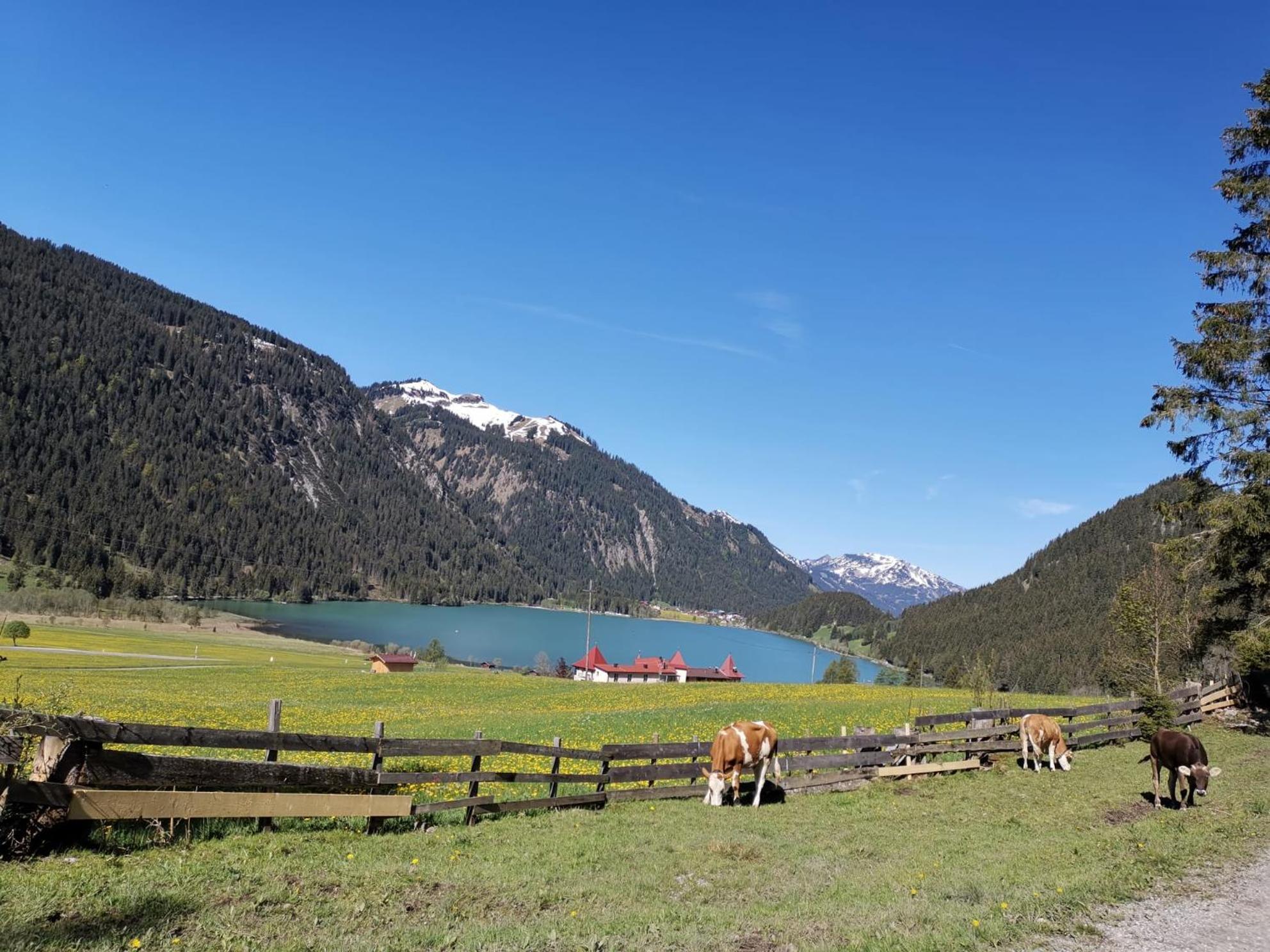 Alpapart Hornberg Hofen Bagian luar foto