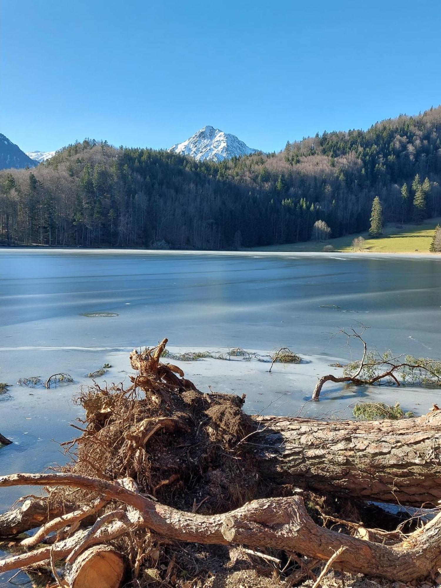 Alpapart Hornberg Hofen Bagian luar foto